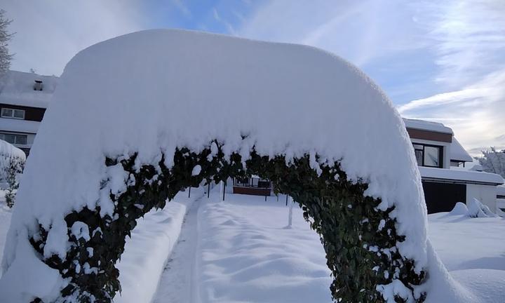 Waldblick Aufen Restaurant